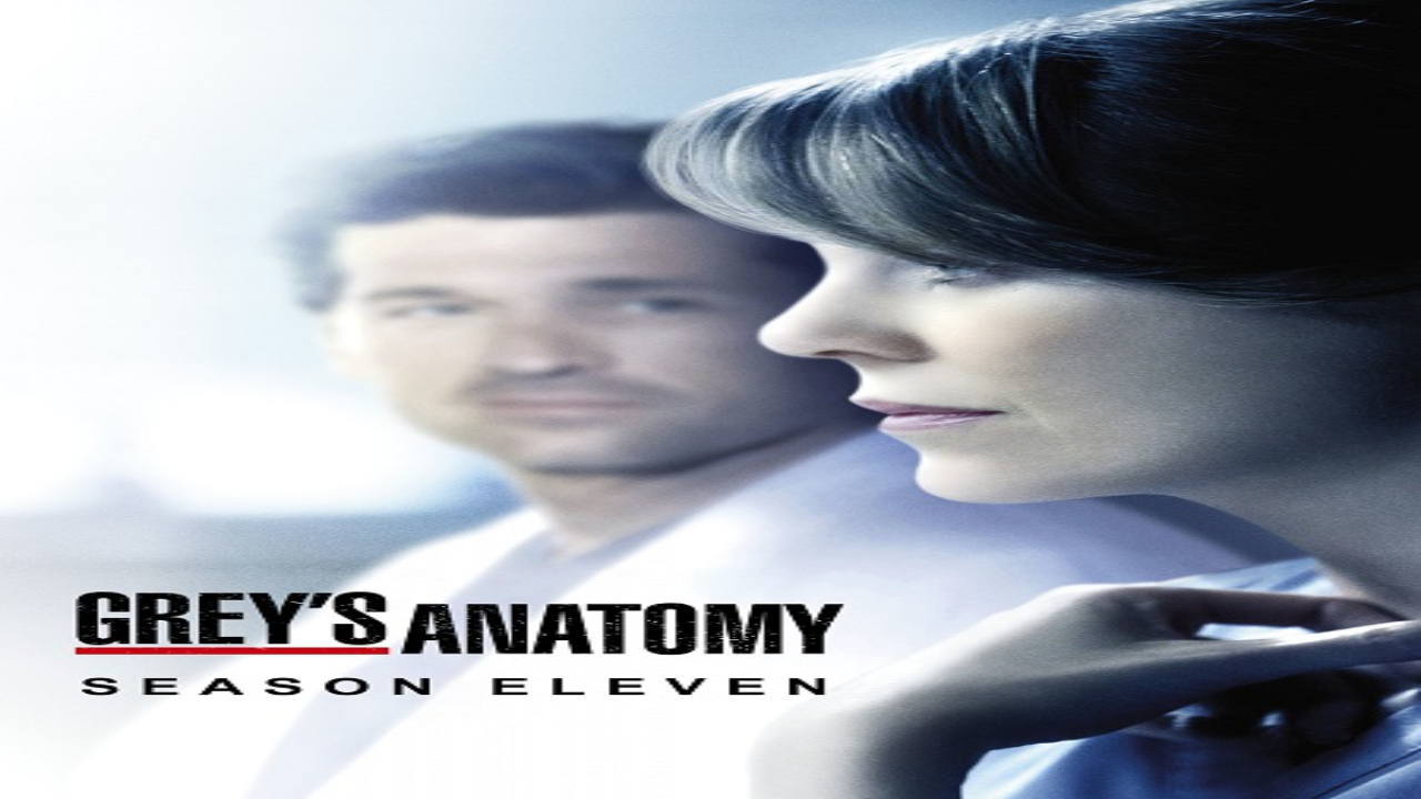 مسلسل Grey’s Anatomy الموسم 11 الحلقة 3 مترجمة كاملة HD